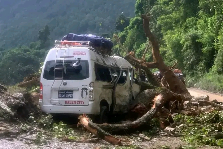 धादिङबेंसीबाट काठमाडौं जादै गरेको माइक्रोमा रुख ढल्यो,नौ जना घाइते